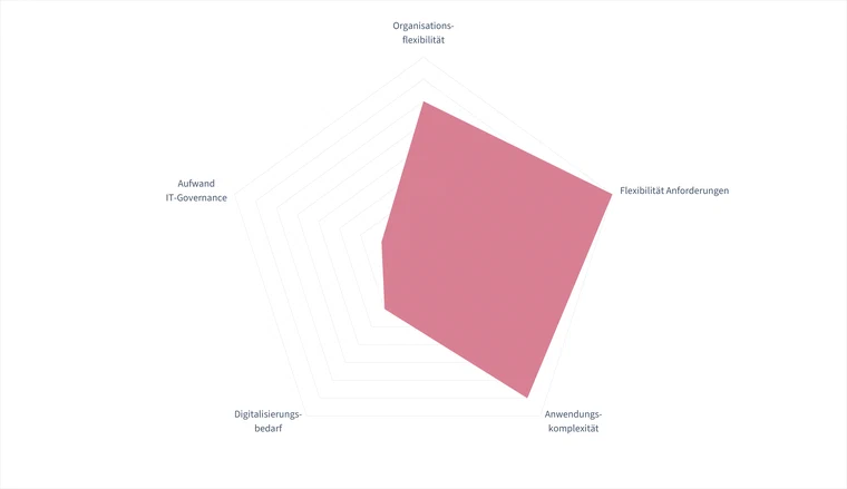 Low-Code Strategie Kompass Professional Development